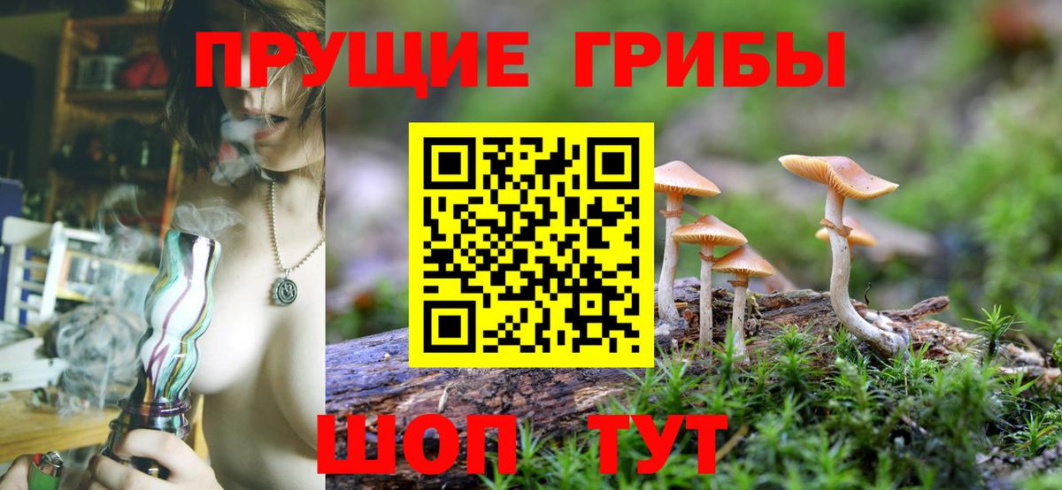 Псилоцибиновые грибы Magic Shrooms Электрогорск